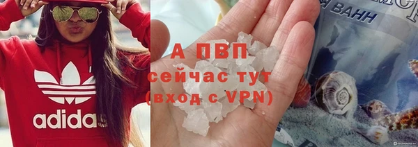 дживик Верхний Тагил